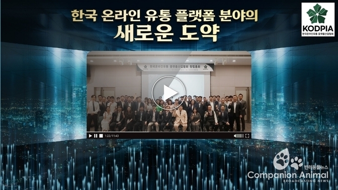 한국 온라인 유통 플랫폼 산업 협회(KODPIA) 설립허가로 산업 혁신과 성장 가속화