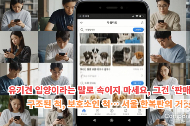 ‘유기견 입양’ 검색했더니 펫샵이 떴다… 알고 보니 변종 펫샵의 덫