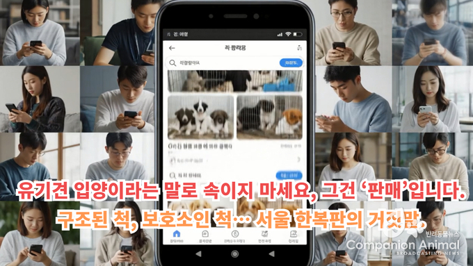 ‘유기견 입양’ 검색했더니 펫샵이 떴다… 알고 보니 변종 펫샵의 덫