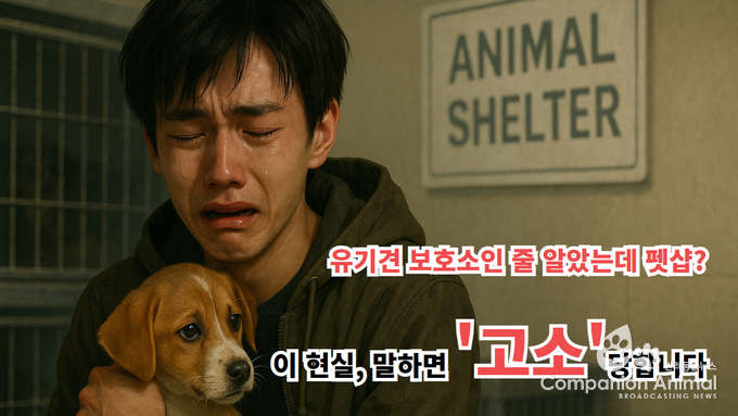 “유기견 보호소인 줄 알았는데… 펫샵이었다” 충격적인 현실속! 소비자 피해속출!