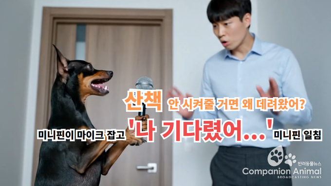 반려견 산책 안 시켜줄 거면 왜 데려왔어?" 미니핀의 분노 폭발… 보호자들에게 묵직한 일침
