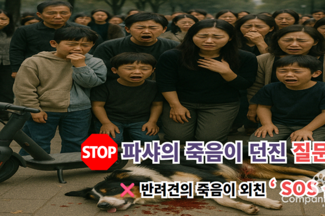 천안 파샤 사건, 전기자전거에 끌려 죽은 반려견, 이제는 법이 바뀌어야 한다