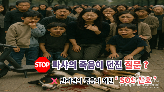 천안 파샤 사건, 전기자전거에 끌려 죽은 반려견, 이제는 법이 바뀌어야 한다