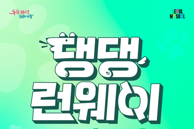 “지구를 지키개, 함께 걷개!”… 반려견과 함께하는 제로웨이스트 패션쇼 ‘댕댕 런웨이’ 개최