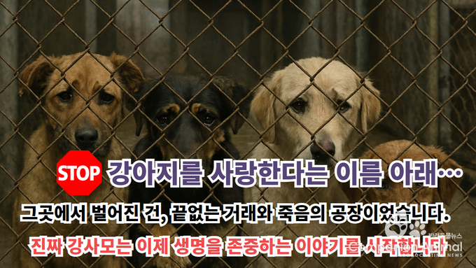 개를 사고파는 모임이 어찌 강사모입니까” 윤리적 반려견 문화로의 전환, 100만 회원 커뮤니티의 그늘, 강아지 공장… 새로운 강사모의 탄생
