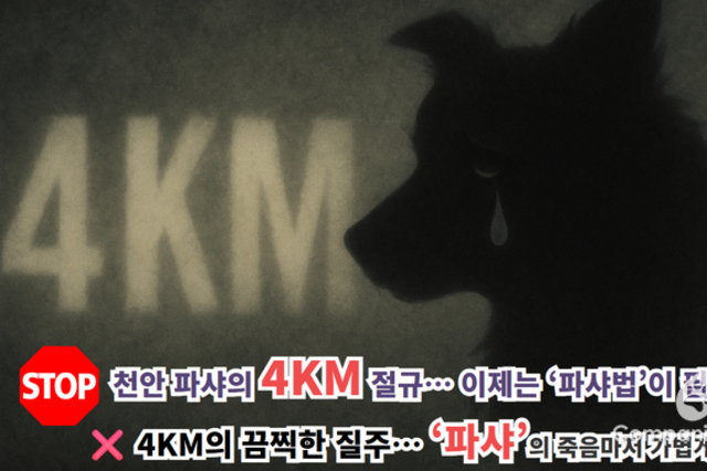 “천안 파샤 사건, 4KM의 절규… 이제는 ‘파샤법’이 필요하다”