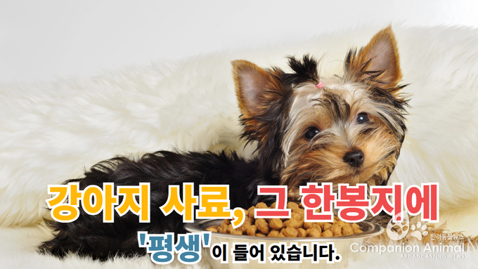 “강아지 사료, 그 한 봉지에 ‘평생’이 들어 있습니다”