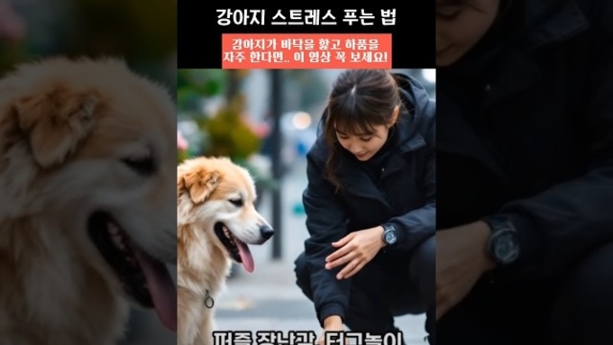 강아지가 바닥을 핥고 자주 하품한다면? 스트레스 신호일 수 있어… 전문가가 전하는 해소법