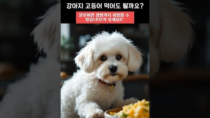 “강아지에게 고등어를 줘도 될까?”… 전문가가 말하는 7가지 안전 원칙