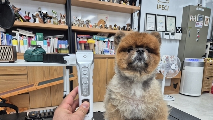 반려동물 셀프미용 기기 ‘바론 프로바리깡’, 사용 경험 기반 기능 분석