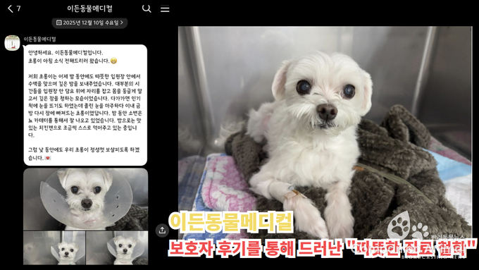 이든동물메디컬, 보호자 후기 통해 드러난 ‘따뜻한 진료 철학'