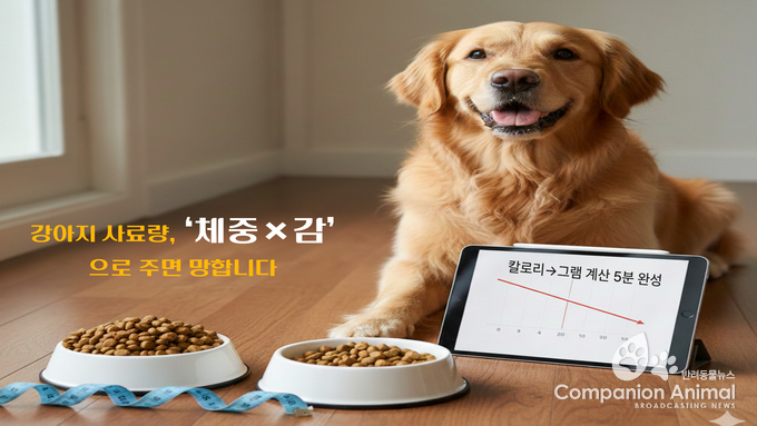 강아지 사료량, ‘감’으로 주면 실패한다… 최경선 박사 “칼로리→그램 환산이 기본”