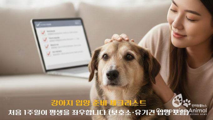 “처음 1주일이 평생 좌우”…강아지 입양 전 ‘체크리스트’ 주목, 보호소·유기견은 ‘기록 확인’이 핵심