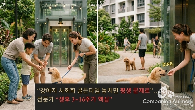 “강아지 사회화 골든타임 놓치면 평생 문제로”…전문가 “생후 3~16주가 핵심”