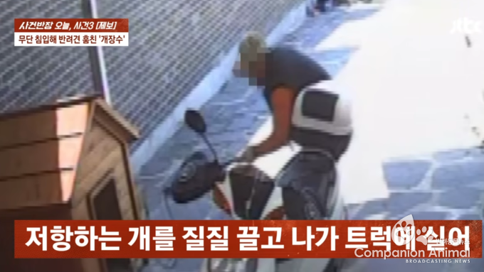 보호자 “반려견 봉봉이, 집 마당서 불법 침입한 개장수 트럭에 실려 갔다”… 보호자 직접 통화, 대전 반려견 사건 파장(개장수 주거지 불법 침입 사건)